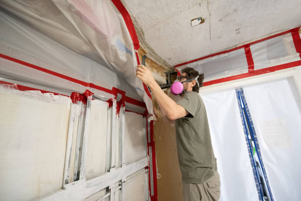 Dehumidification Services in Pocasset, MA